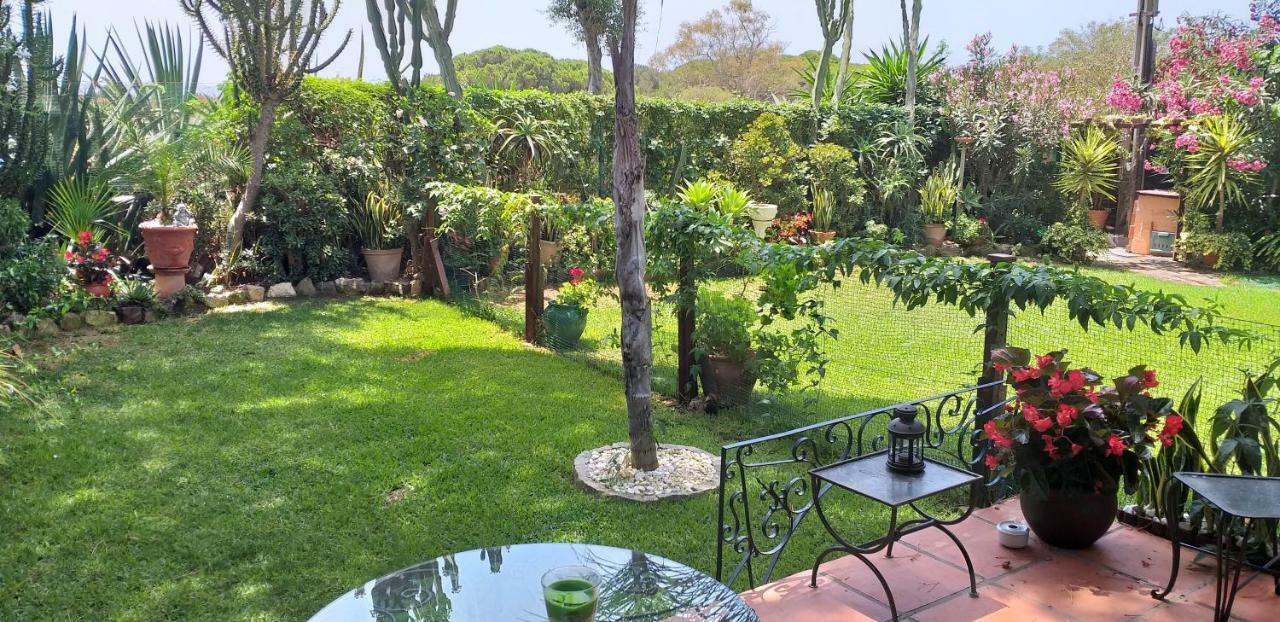 Apartamento Garden At Casa Madden *